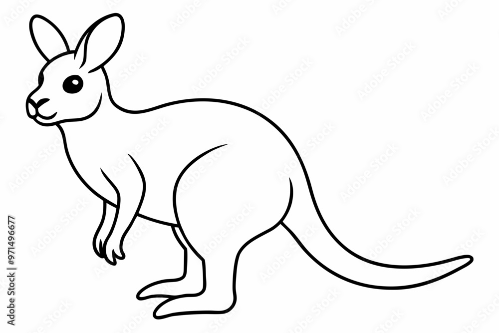 illustration of a kangaroo illustration of a kangaroo