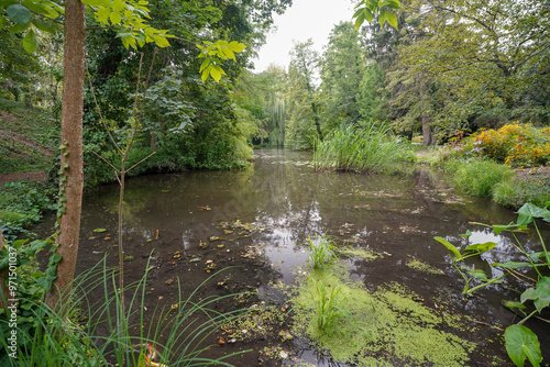 pond of the british botanical garden of Bratislava