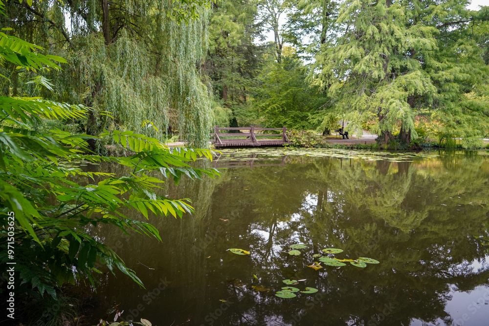pond of the british botanical garden of Bratislava pond of the british botanical garden of Bratislava