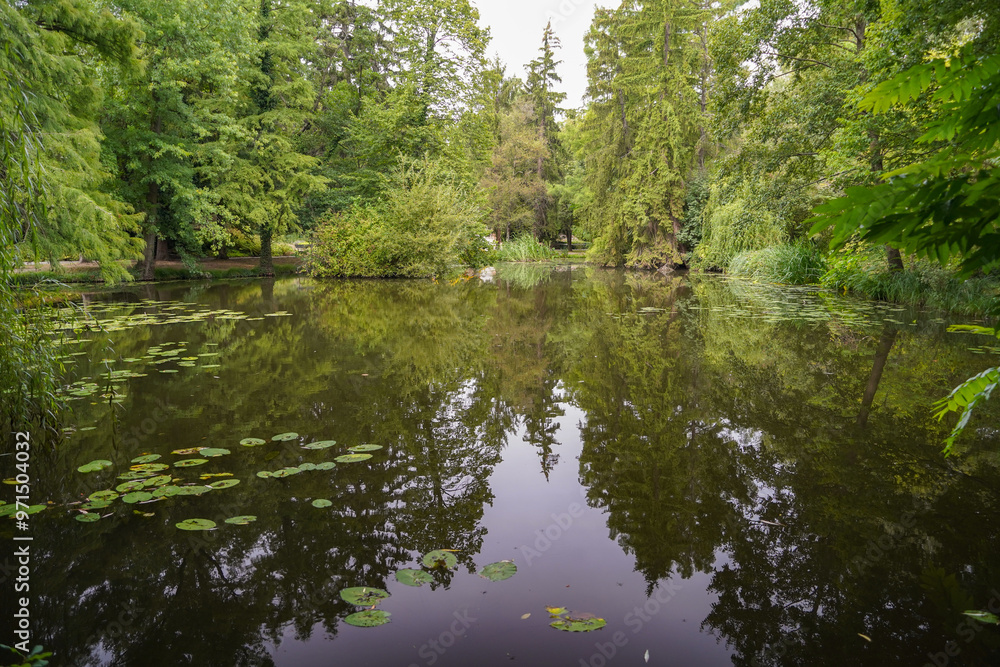 pond of the british botanical garden of Bratislava pond of the british botanical garden of Bratislava