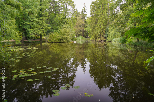 pond of the british botanical garden of Bratislava