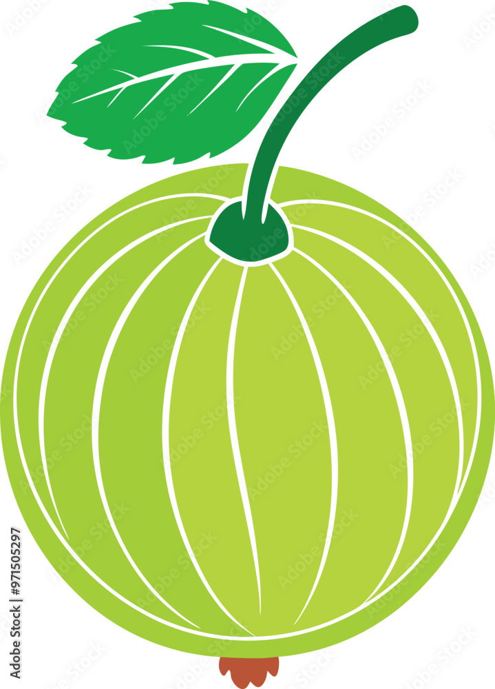 Gooseberry fruit (amla) vector illustration Gooseberry fruit (amla) vector illustration