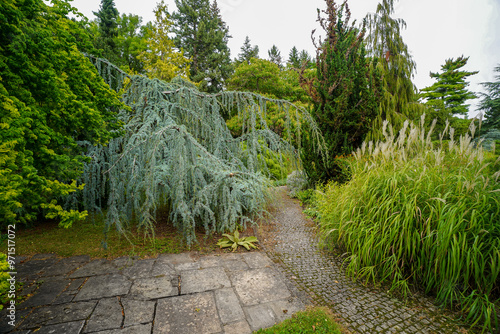 Canvas Print pathway in the british botanical garden of Bratislava