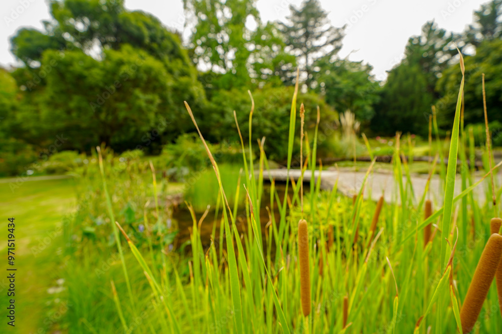 british botanical garden of Bratislava