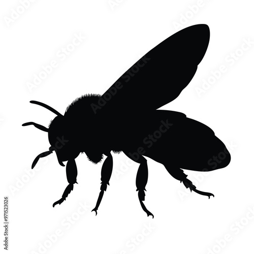 a black silhouette of a fly. The fly is facing towards the right side of the image and its body is elongated and pointed 