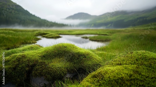  A tranquil pond, nestled among verdant grass in a mountains' heart, framed by a misty, foggy sky