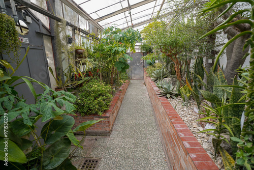 Canvas Print tropical vegetation in the british botanical garden greenhouse of bratislava