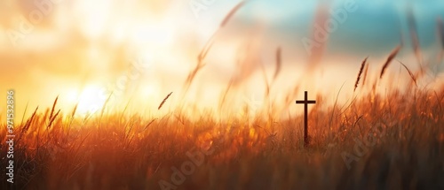  A cross stands solitarily in the heart of an expansive field Towering grasses frame the foreground, while the sun casts its golden glow from behind photo