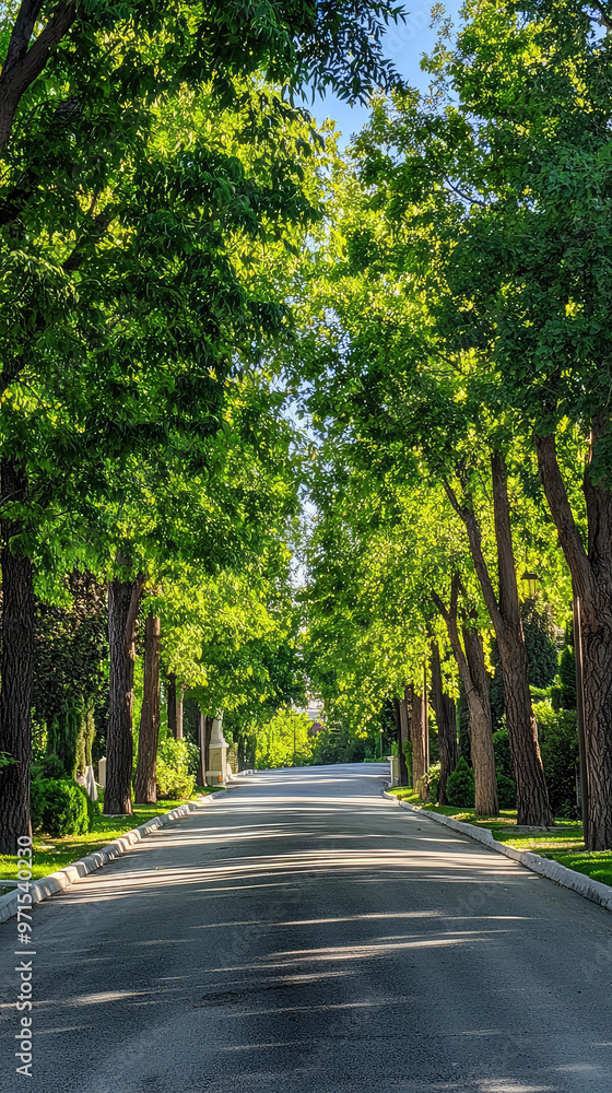 A serene driveway with tall trees providing shade in quiet setting A serene driveway with tall trees providing shade in quiet setting