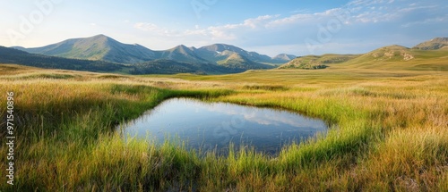  A small pond lies in a grassy field, framed by a distant mountain range in the background