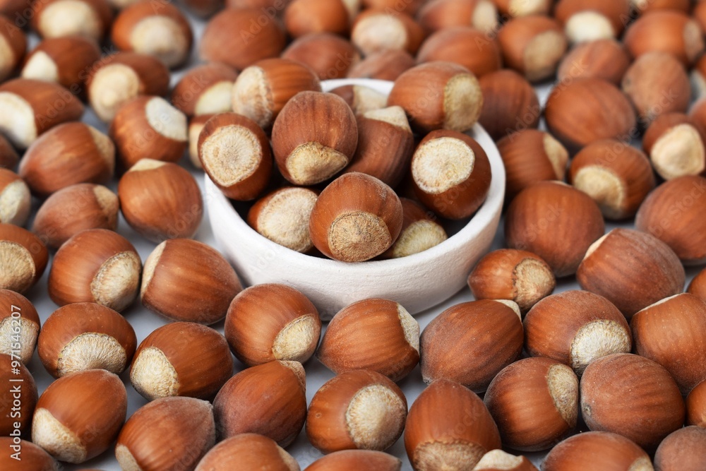 Hazelnuts in shell in a small bowl and around it Hazelnuts in shell in a small bowl and around it