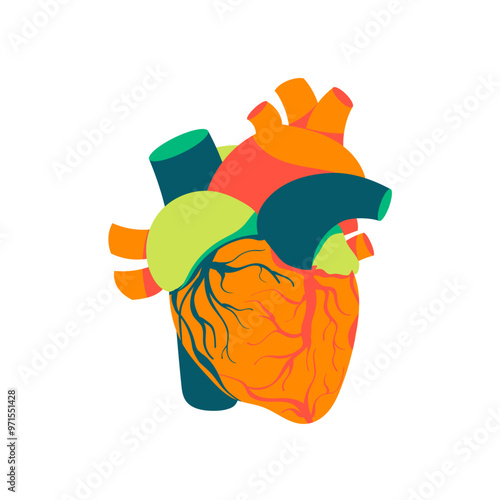 Human heart with aorta and arteries. Anatomical internal organ. Colorful vector illustration