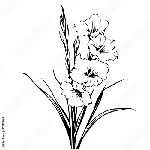 Flower Vector