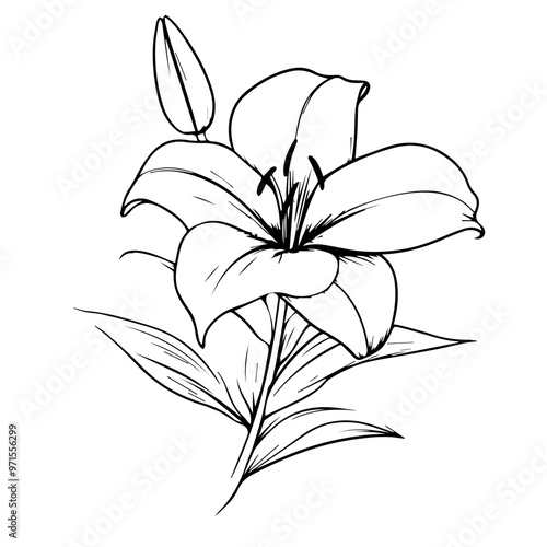 Flower Vector