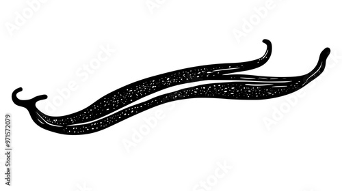 Single vanilla bean pod on plain surface, visible seeds and texture, vector illustration art