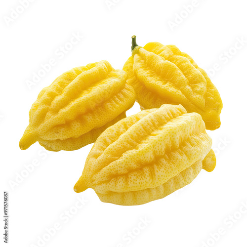 Three yellow finger limes photo