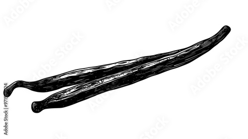 Single vanilla bean pod on plain surface, visible seeds and texture, vector illustration art
