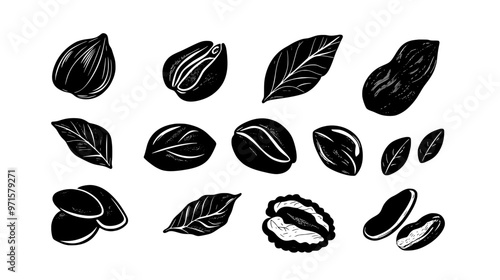 Small fragmented pieces of nuts, often used for garnish or in sweet dishes, vector illustration art