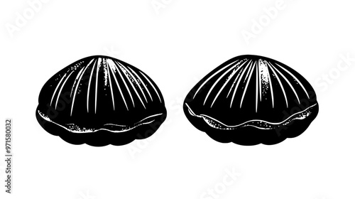 Two madeleines resting side by side, no additional elements, vector illustration art