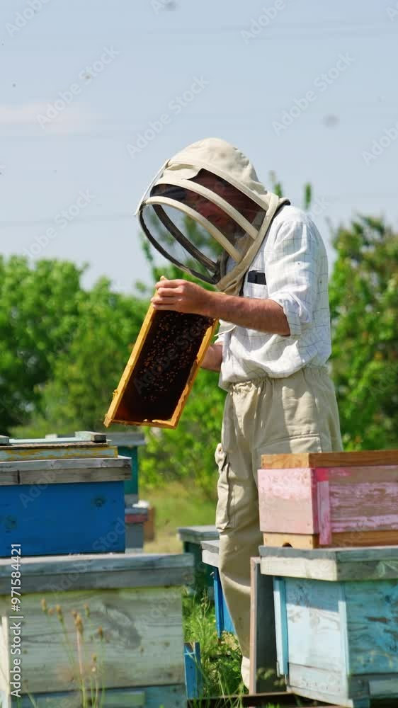 Dark wax honey frame in the hands of a male apiculturist. Disturbed bees crowding around the bee farmer. Nature backdrop. Vertical video Dark wax honey frame in the hands of a male apiculturist. Disturbed bees crowding around the bee farmer. Nature backdrop. Vertical video