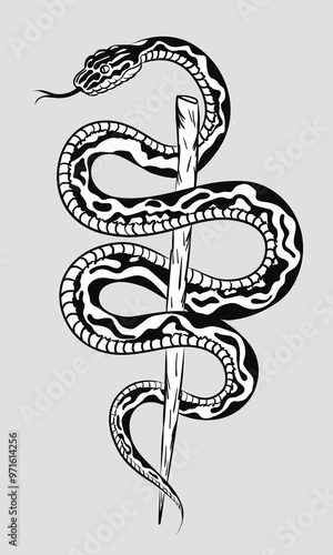 Hand drawn black and white art of a detailed mysterious snake coiled around a stick. Vector illustration of reptile with intricate scaled skin on grey background. Poster, tattoo design, t-shirt print