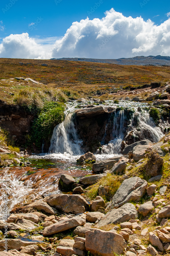 Fototapeta premium Falkland Island Landscapes