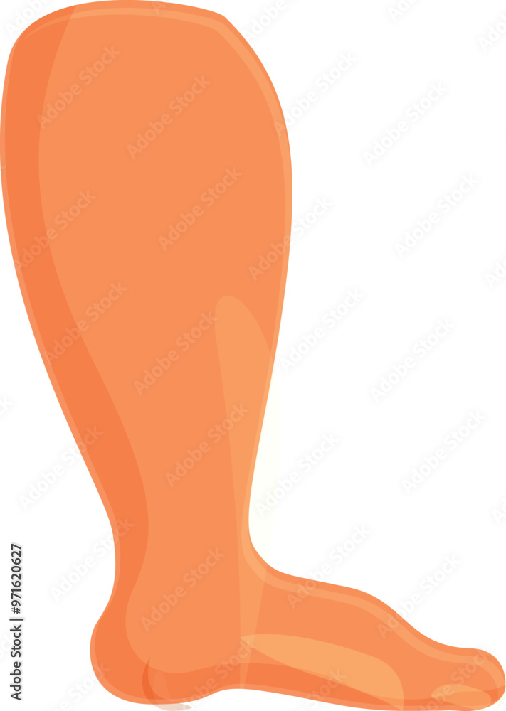 This illustration shows the side view of a human leg and foot standing This illustration shows the side view of a human leg and foot standing