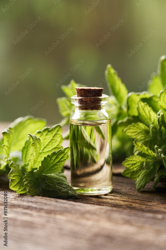 A bottle of aromatherapy essential oil with fresh melissa leaves outdoors A bottle of aromatherapy essential oil with fresh melissa leaves outdoors