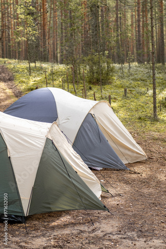 Two tents are pitched in a quiet forest, surrounded by lush greenery and towering trees under clear blue skies