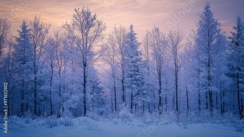 A serene winter landscape with frosted trees under a pastel sky at dawn.