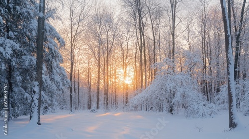 A serene winter landscape with snow-covered trees and a glowing sunrise.