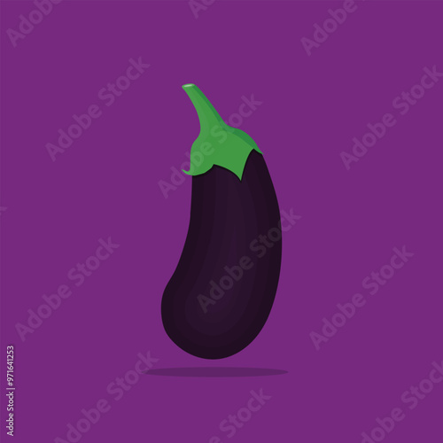 Eggplant Vegetable vector illustration graphic