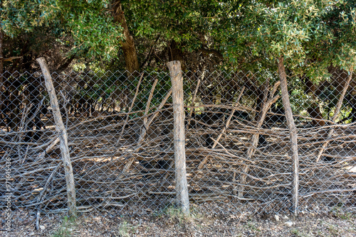 Zaun aus Naturholz Pfosten photo