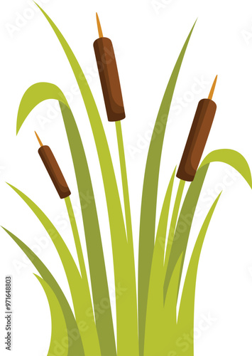 This vector illustration features a group of cattail plants growing in a wetland area
