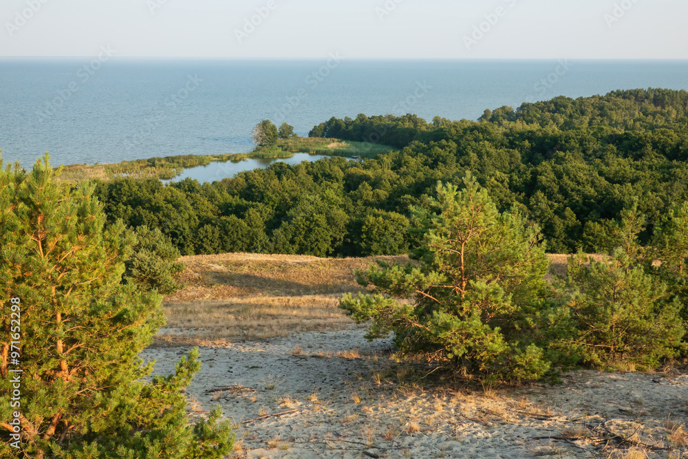 View of the Curonian Lagoon from a high dune of the Curonian Spit. In ...