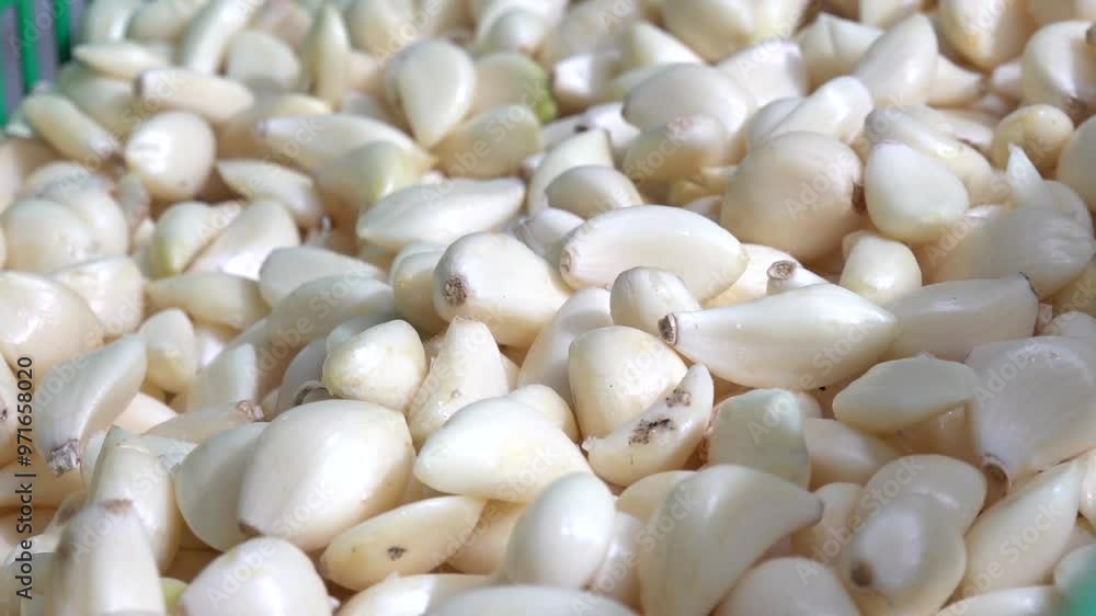 Garlic cloves peeled in italian farm Garlic cloves peeled in italian farm