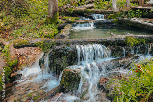 In the center of the lush green forest, there is a small waterfall