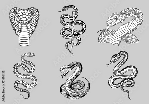 Set of various detailed hand drawn outline snakes - Viper, Cobra, Python, Boa, etc. Editable black and white illustration of different reptiles as a decor element for poster, tattoo, t-shirt print