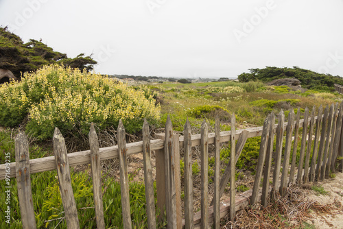 Old wooden fence on the beach