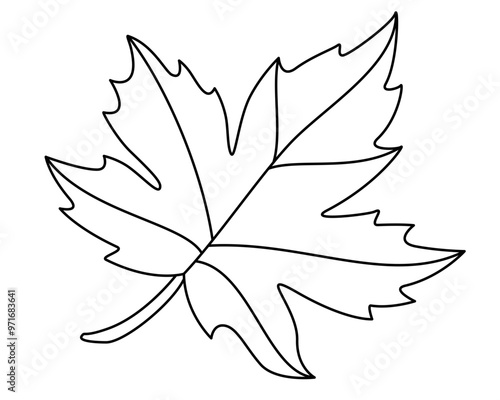 Maple leaf plant element - vector linear picture for coloring. Outline. Maple leaf for sign, logo or coloring book