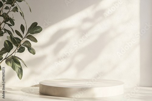 Background White Wall Studio and Beige Podium with shadow leaves on cement floor.