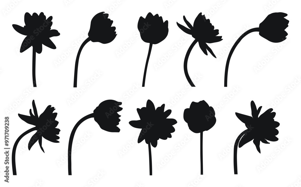 Obraz premium Silhouette of water lily, water lily, side view