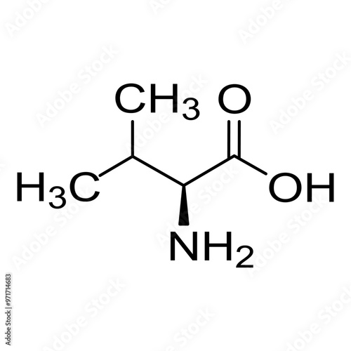 Chemical structural formula of amino acid, valine