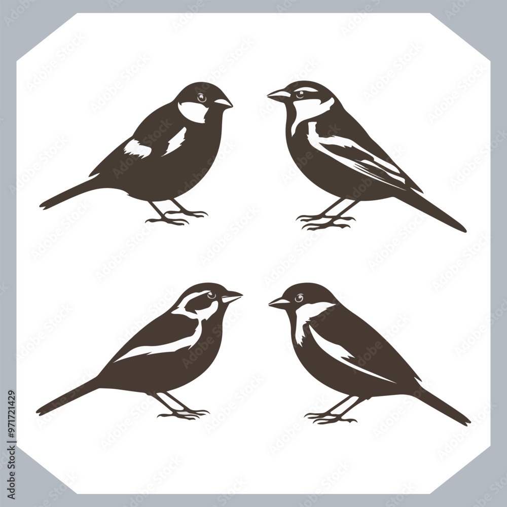custom made wallpaper toronto digitalSet of Sparrow bird silhouette collection, Sparrow flying design, bird black silhouettes of different kinds sparrow vector flat isolated