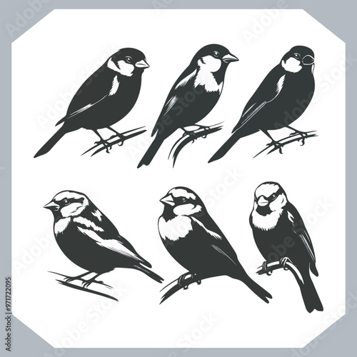 Wallpaper Mural Set of Sparrow bird silhouette collection, Sparrow flying design, bird black silhouettes of different kinds sparrow vector flat isolated Torontodigital.ca