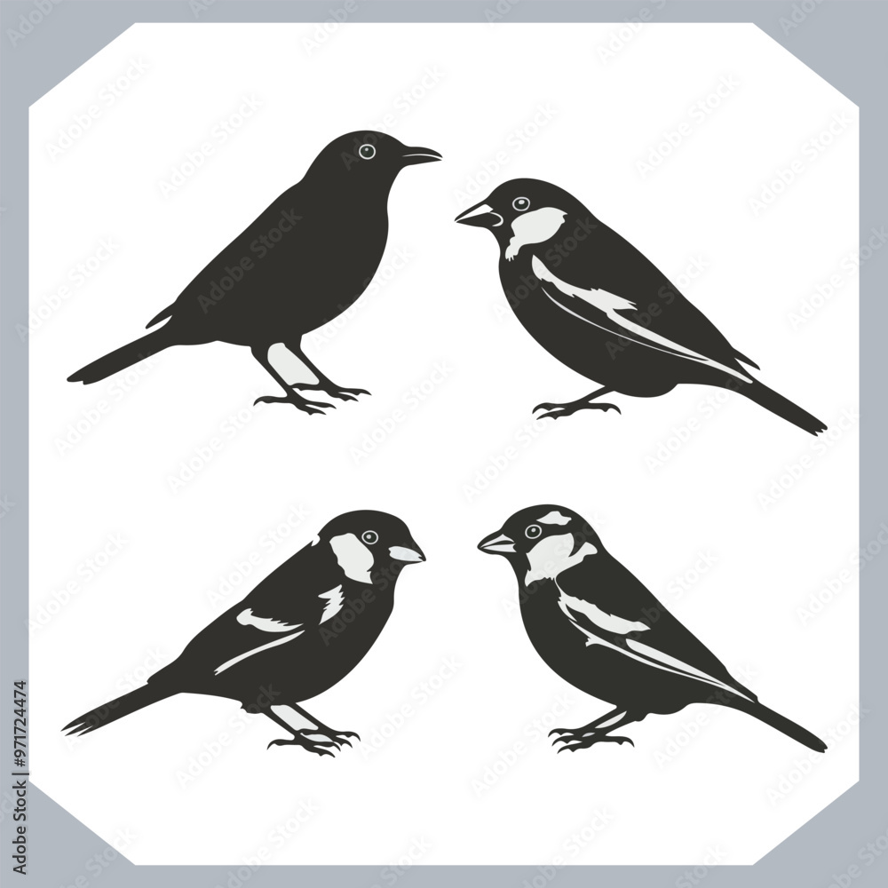 Fototapeta premium Set of Sparrow bird silhouette collection, Sparrow flying design, bird black silhouettes of different kinds sparrow vector flat isolated