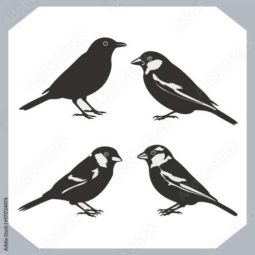 Set of Sparrow bird silhouette collection, Sparrow flying design, bird black silhouettes of different kinds sparrow vector flat isolated