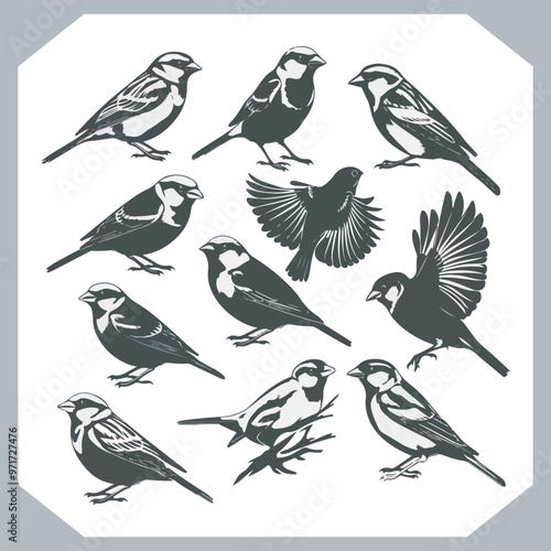 Wallpaper Mural Set of Sparrow bird silhouette collection, Sparrow flying design, bird black silhouettes of different kinds sparrow vector flat isolated Torontodigital.ca