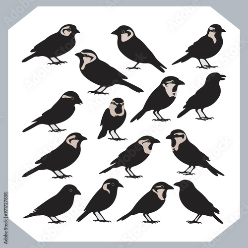Wallpaper Mural Set of Sparrow bird silhouette collection, Sparrow flying design, bird black silhouettes of different kinds sparrow vector flat isolated Torontodigital.ca