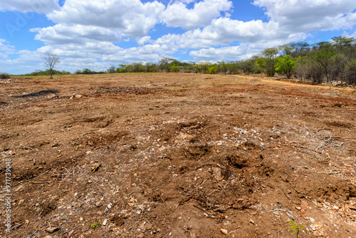 Photography Deforestation of the Caatinga Biome for agricultural practices in the countryside of Paraíba, Brazil